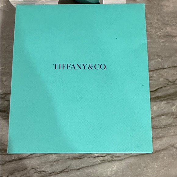 Tiffany & Co. Turquoise Bag and Pouch Set - Picture 2 of 2